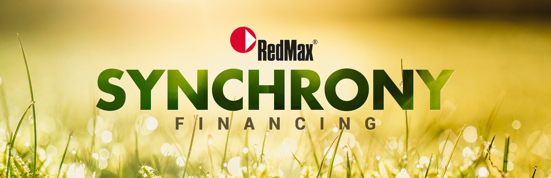 RedMax: Synchrony Financing